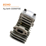 xy-lanh-cs350tse-2