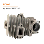 xy-lanh-cs350tse-3