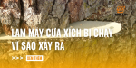 lam-may-cua-xich-bi-chay-tai-sao