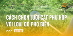 cach-chon-luoi-cat-phu-hop-voi-loai-co-pho-bien