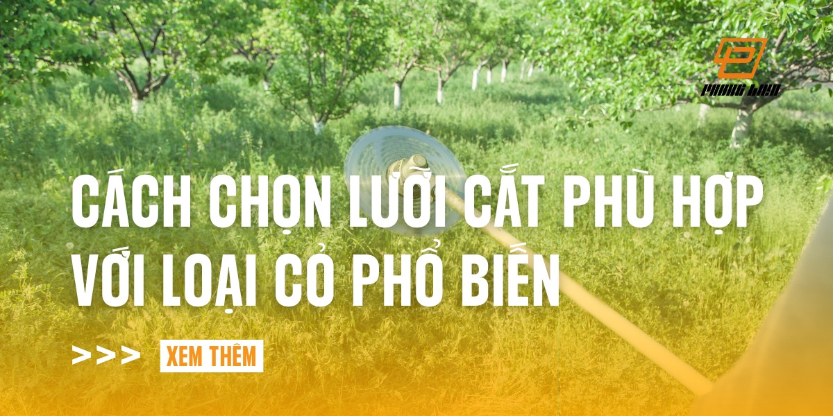 cach-chon-luoi-cat-phu-hop-voi-loai-co-pho-bien