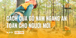 cach-cua-go-nam-ngang-an-toan