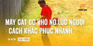 may-cat-co-kho-no-luc-nguoi