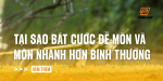 tai-sao-bat-cuoc-de-mon