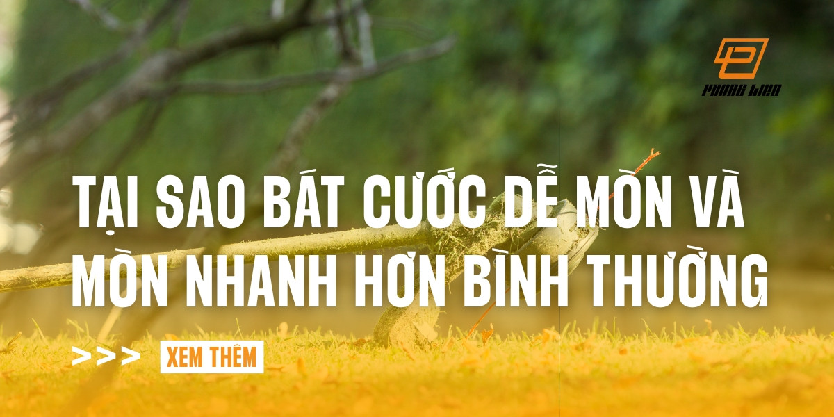 tai-sao-bat-cuoc-de-mon