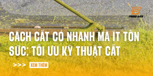 cach-cat-co-nhanh-ma-it-ton-suc