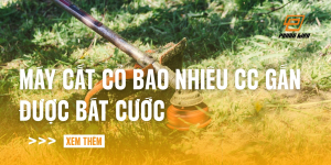 may-cat-co-bao-nhieu-cc-gan-duoc-bat-cuoc