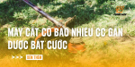 may-cat-co-bao-nhieu-cc-gan-duoc-bat-cuoc