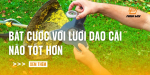 bat-cuoc-voi-luoi-dao-cai-nao-tot-hon
