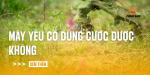 may-yeu-co-dung-cuoc-duoc-khong