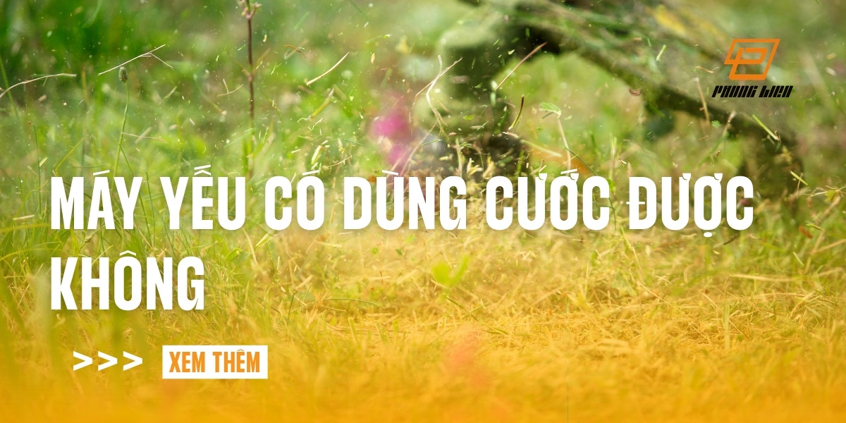 may-yeu-co-dung-cuoc-duoc-khong