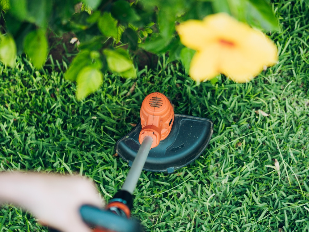 Mẹo cắt cỏ nhanh bằng bát cước