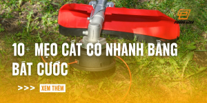 meo-cat-co-nhanh-bang-bat-cuoc
