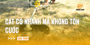 cat-co-nhanh-ma-khong-ton-cuoc