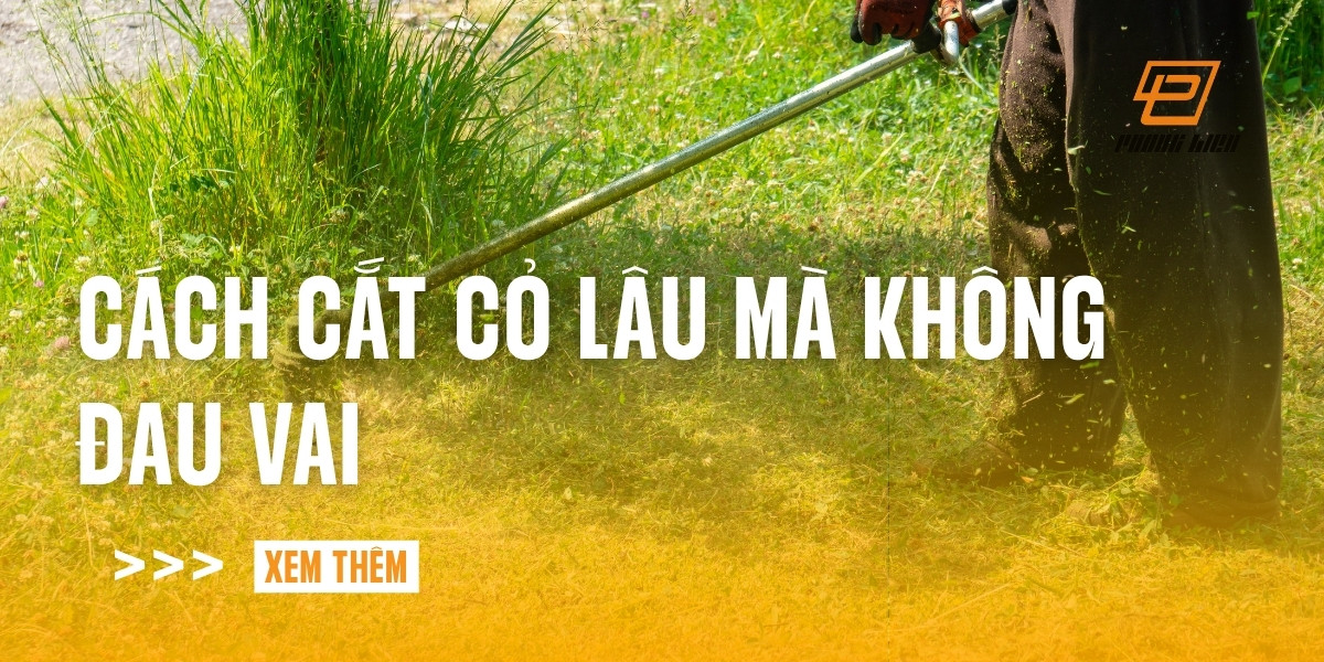 cach-cat-co-lau-ma-khong-dau-vai