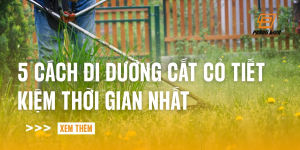 cach-di-duong-cat-co-tiet-kiem-thoi-gian-nhat