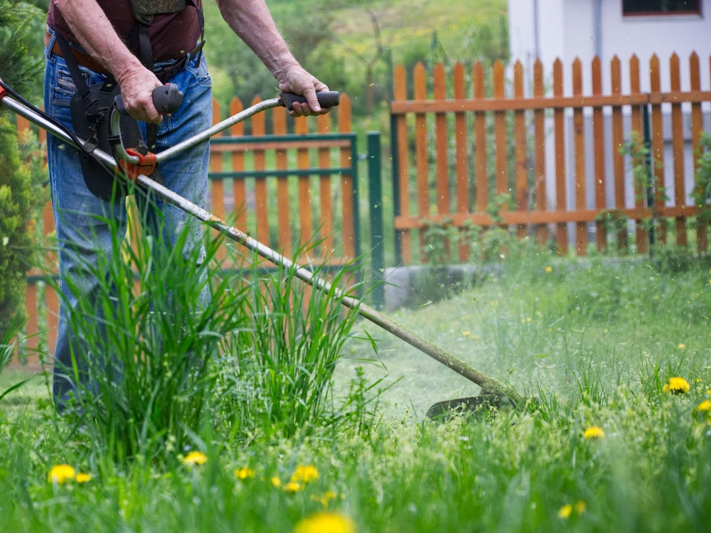 Bát cước nào phù hợp cắt cỏ thân gỗ