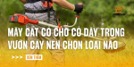 may-cat-co-cho-co-day-trong-vuon-cay