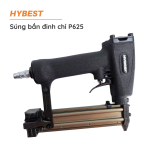 sung-ban-dinh-chi-p625-2