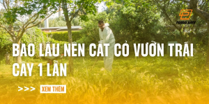 bao-lau-nen-cat-co-vuon-trai-cay-1-lan