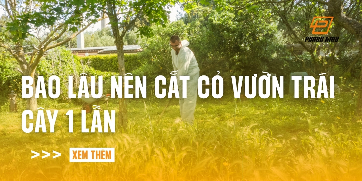 bao-lau-nen-cat-co-vuon-trai-cay-1-lan