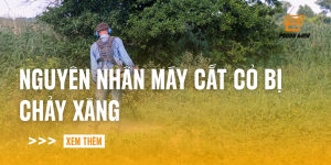 chay-may-cat-co-lien-tuc-co-hai-khong-2-1