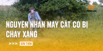 chay-may-cat-co-lien-tuc-co-hai-khong-2-1