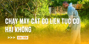 chay-may-cat-co-lien-tuc-co-hai-khong