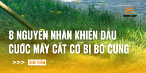 dau-cuoc-may-cat-co-bi-bo-cung