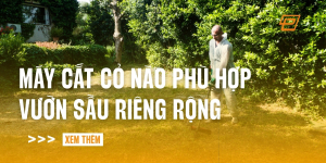 may-cat-co-nao-phu-hop-vuon-sau-rieng-rong