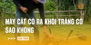 may-cat-co-ra-khoi-trang-co-sao-khong