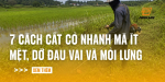 cach-cat-co-nhanh-ma-it-met