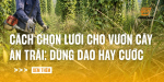 cach-chon-luoi-cho-vuon-cay-an-trai