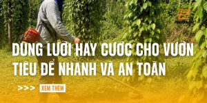 dung-luoi-hay-cuoc-cho-vuon-tieu-de-nhanh-va-an-toan