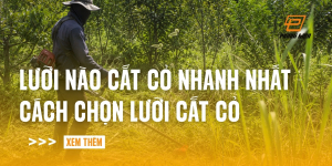 luoi-nao-cat-co-nhanh-nhat