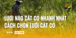 luoi-nao-cat-co-nhanh-nhat