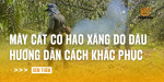 may-cat-co-hao-xang-do-dau