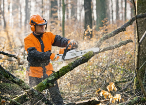 cua_xich_STIHL