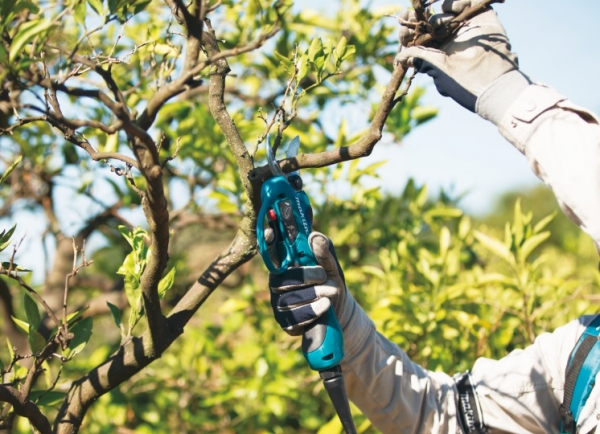 makita-dup361rm2