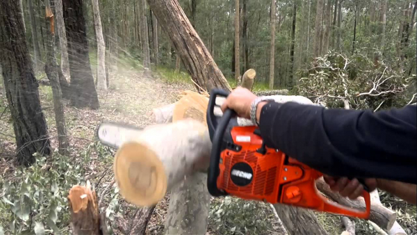 maxresdefault10