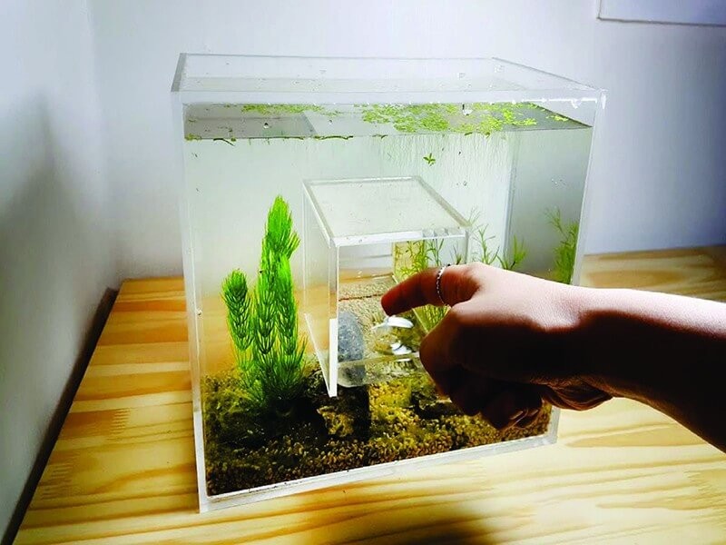 Lưu ý kỹ thuật khi lắp đặt