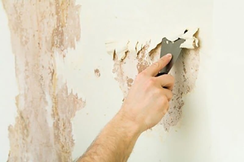Tại sao bước xử lý tường lại quan trọng đến vậy?