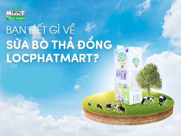 z3089930034121-d0f75f9d778e5e13947a6bea59d93eb6