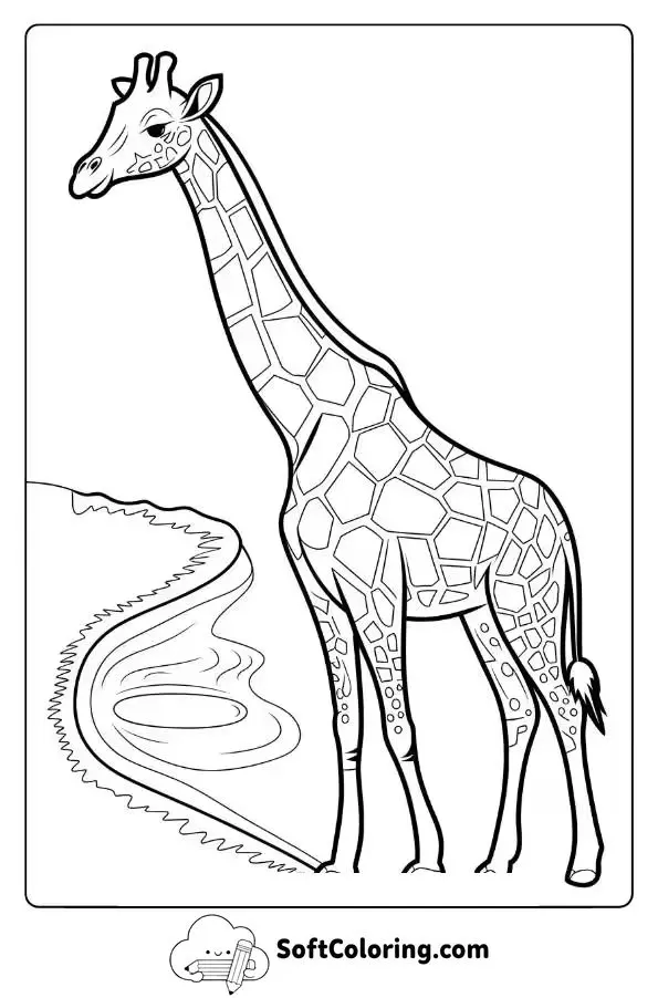 A Calm Giraffe Near A Watering Hole