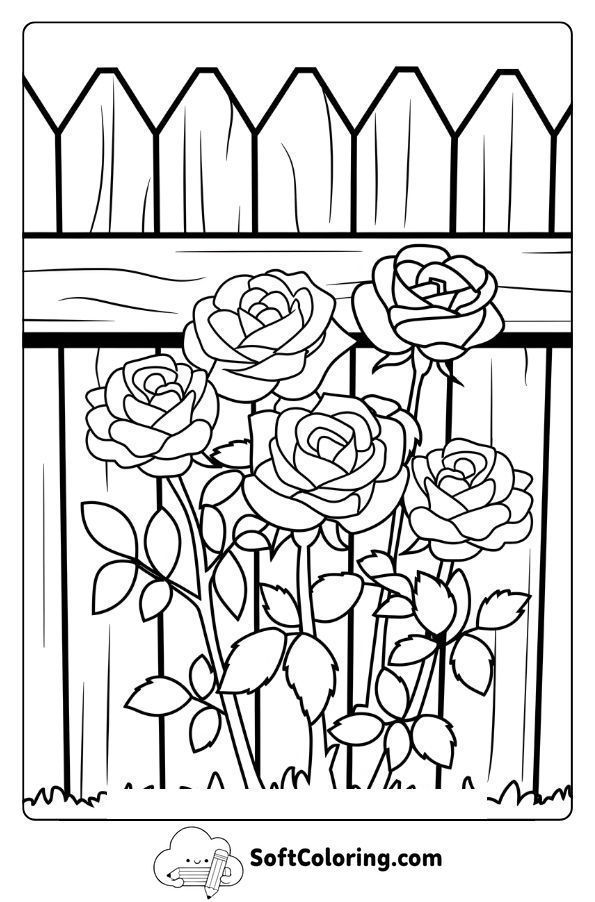 A Cluster of Roses Against a Wooden Fence