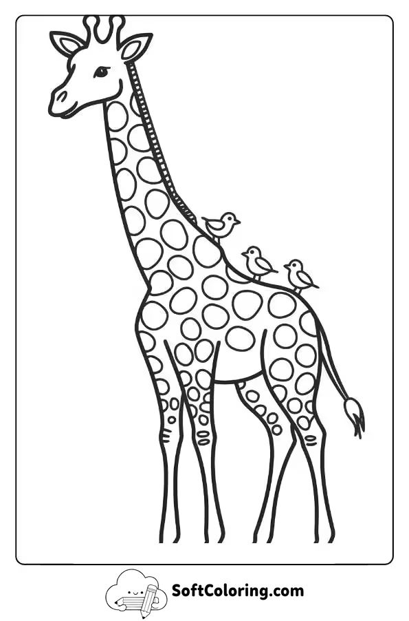 A Giraffe with Birds on Its Back