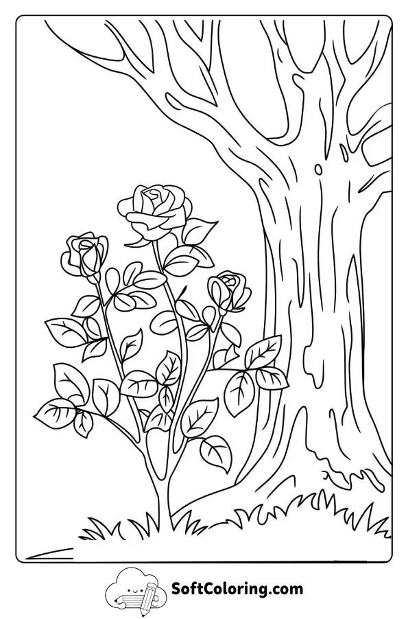 A Rose Bush Growing Beside an Old Tree