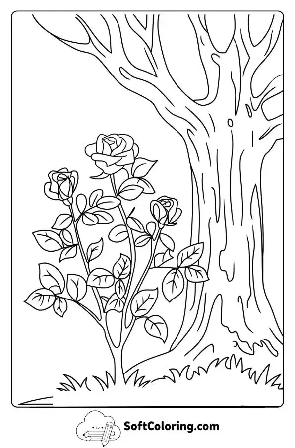 A Rose Bush Growing Beside An Old Tree