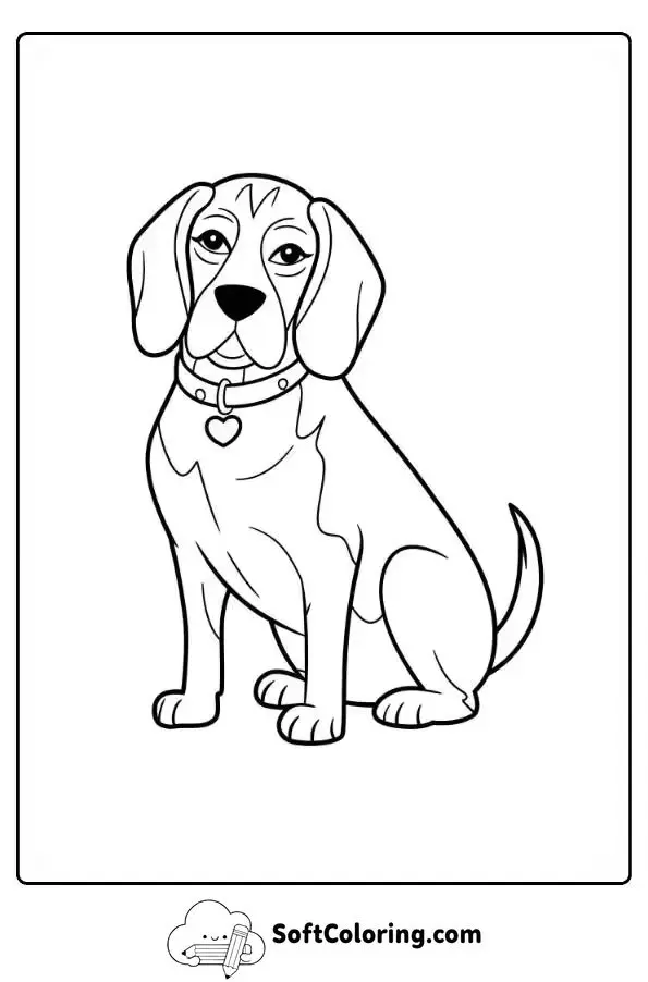 Adult Beagle With Collar And Tag