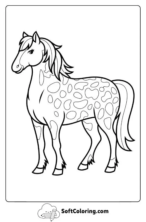 Appaloosa Horse With Unique Spots